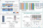 Tumor fractions deciphered from circulating cell-free DNA methylation for cancer early diagnosis