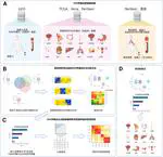 Research on Methods for Identifying the Tumor-specific DNA Methylation Sites in Peripheral Blood